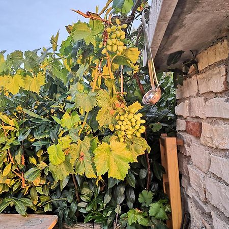 Casa Romantica Umag Dış mekan fotoğraf